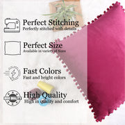 Velvet Cushion Covers Adorned With Pom Poms Set of 2, Maroon